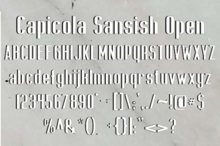 Capicola Sansish Open: A Bold and Stylish Choice for Modern Design