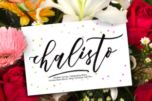 Chalisto: A Beautiful Calligraphy Font for Modern Design