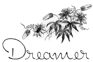 Dreamer: A Handwritten Script for Expressive Design