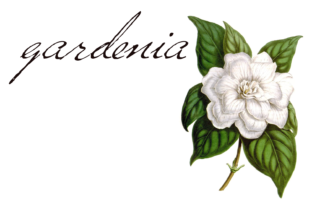 Versitia: A Handwritten Script for Real-World Design